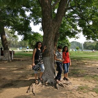 pratibha